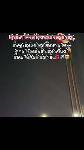 প্রবাসে টাকা ইনকাম কারা য়ায় কিন্তু হারানো হয় জিবনের শ্রেষ্ঠ সময় গুলো,য়া আর কখনো ফিরে পাওয়া যায় না..🌺✈️😭#fyp #tiktok #foryou #শেয়ার_প্লিজ #পবাসীজিবন🥲 @TikTok 