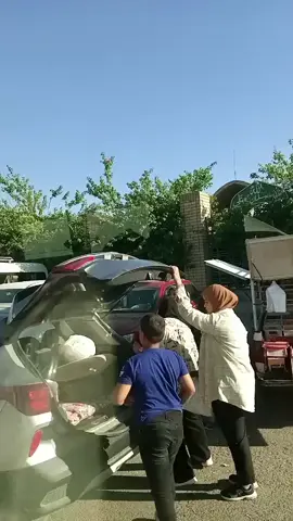 لامام#سلمان#المحمدي 