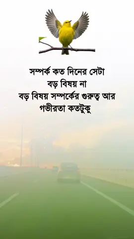 সম্পর্ক কত দিনের সেটা বড় বিষয় না
