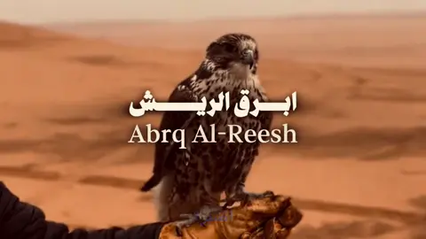 #بدون_موسيقي #اصبر؟ مقطع الرجال @𝐌𝐡𝐬𝐧 | 𝐀𝐥-𝐐𝐚𝐡𝐭𝐚𝐧𝐢 