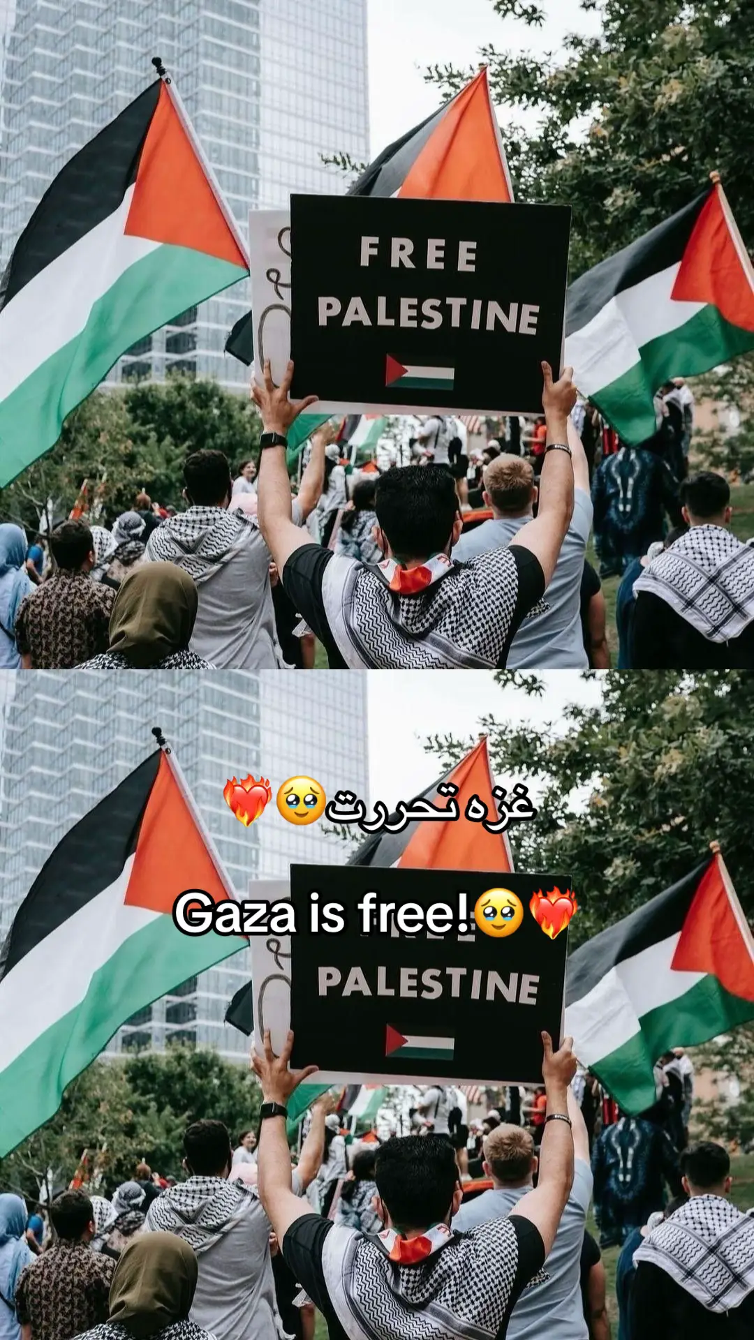 #fyppppppppppppppppppppppp #fypシ #palestine #viralvideo #viral 