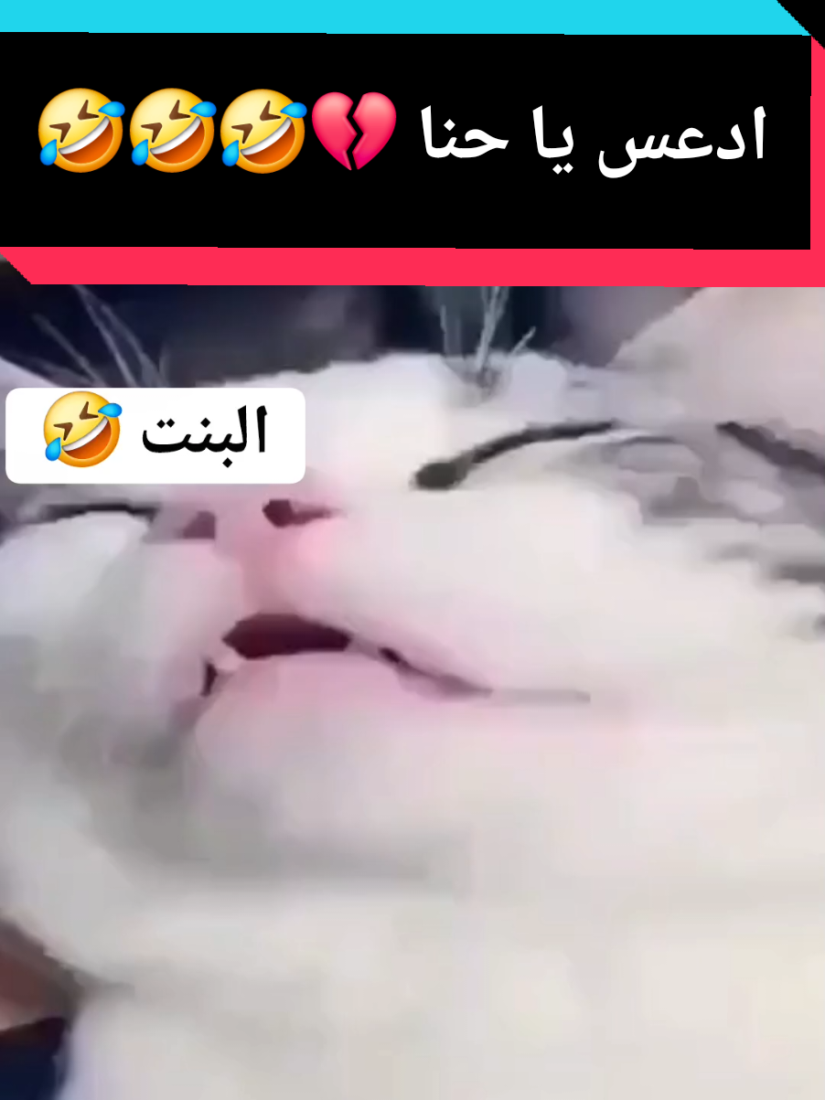 #ضحك #سالم_الشمري_ok #حايل #مالي_خلق_احط_هاشتاقات🧢 #الشعب_الصيني_ماله_حل😂 @سالم الشمري OK @سالم الشمري OK @سالم الشمري OK 