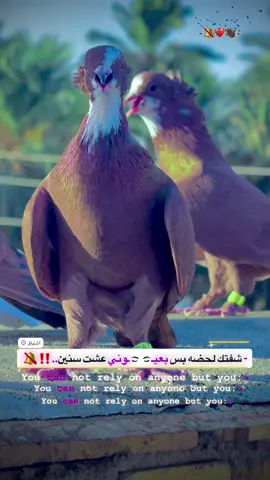 #اللهم_صل_على_محمد_وآل_محمد 🩵🍃#تفاعلكم_لايك_متابعه_اكسبلوررررراexplore #اكسبلورexplore #مشاهير_تيك_توك #الشعب_الصيني_ماله_حل😂😂 @ﺂِࢦِٰـِﺒۦgehw 