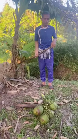 #CapCut 