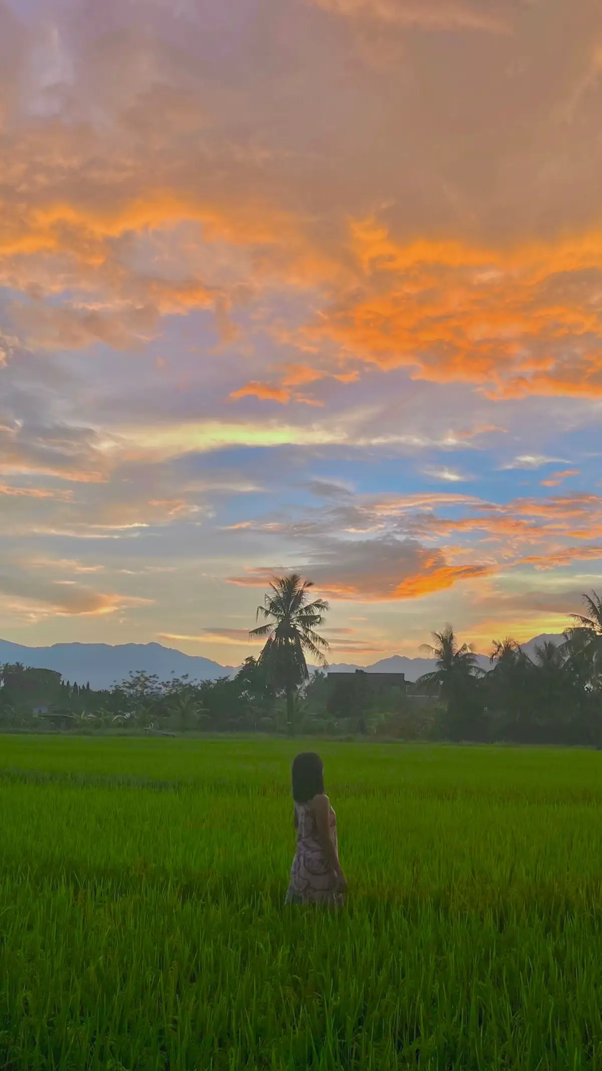 forever that girl who gets really excited when the sky is in pretty colors 🧡 #sunset #sunsetlover #sunsetvibes #fyp #fyppppppppppppppppppppppp 