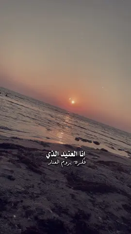 #CapCut #لايك_متابعه_اكسبلور_فولو_منشن_طلعو_ترند #شيلات #fypシ #تصويري 