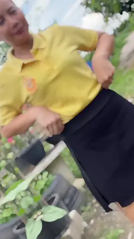 #เสื้อผ้าแฟชั่น #กางเกงกระโปรง #เสื้อโปโล #เสื้อเหลือง #tiktokshop1010แบรนด์แท้คุ้มสุด 