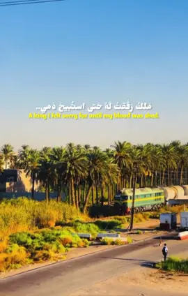 #ملكٌ رققةً لهُ حتى استبيحَ دمي#وما ركبةُ على غرمٍ بهِ ندما#