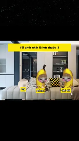 #funny #memes #haihuoc #catmeme #cat