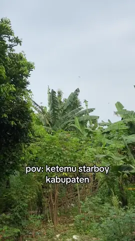 starboy banget ini saaloh #fyp #luculucuan 