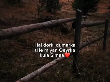 ❤️ . .