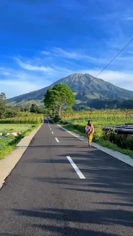 Pov : kamu motor