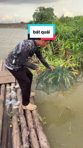 lồng bát quái bắt cá , lưới bát quái . #longbatquai #longbatquaibatca #longbatquai8cua 