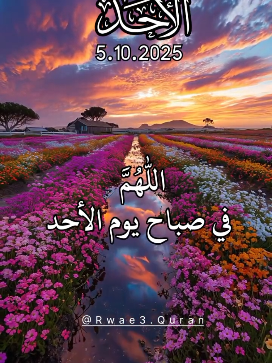 دعاء يوم الاحد 🤲❤️ اللهم في صباح يوم الاحد 🤲🤲 افضل ادعية و حالات و ستوريات يوم الاحد جديد 2025 🤲❤️ #دعاء_يوم_الاحد #ادعية_اسلامية_تريح_القلب  #حالات_واتس #صباح_الخير  #اللهم_امين_يارب_العالمين 