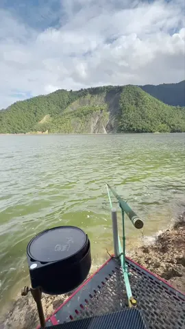 Nhả vía đi câu mõm tận 3 ngày 🤓 #cauca #caucagiaitri #fishing #caucatunhien #caucachuyennghiep 