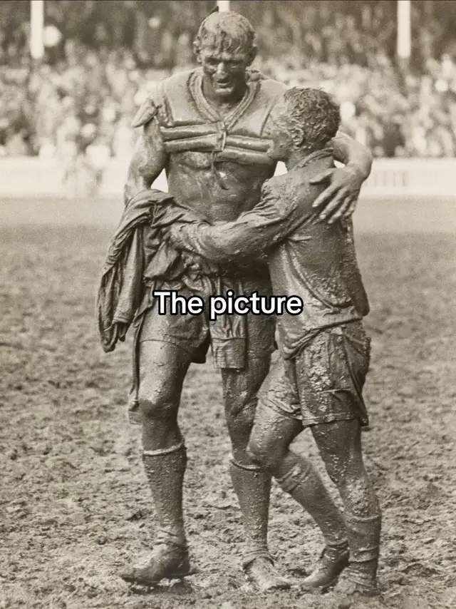 #nrl #fypシ゚viral 