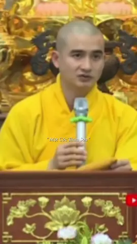 Sư Phụ Thích Minh Thiền từng nói 🪷nhân cách và đạo đức của một người phật tử sống giữa cuộc đời là chấp nhận tha thứ và bao dung 🍃#xuhuong 