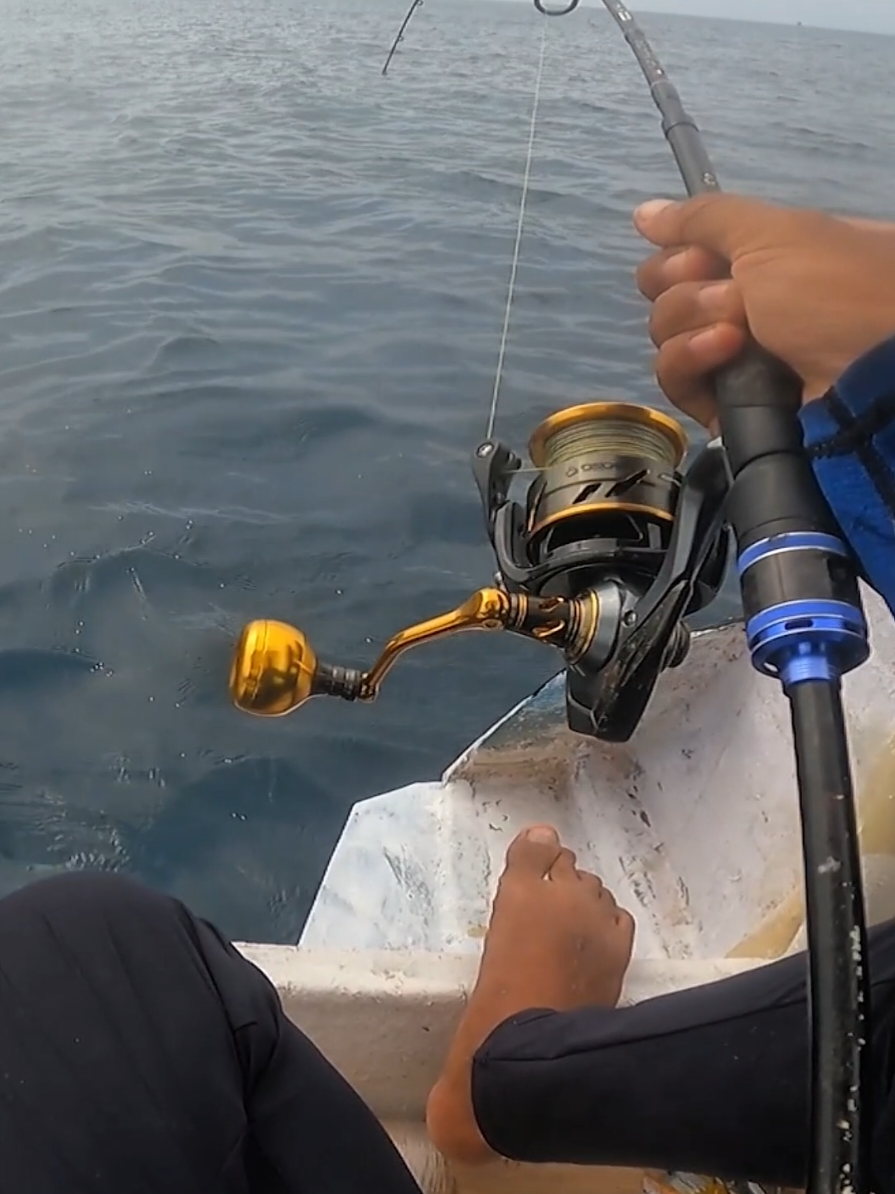 bikin pensaran sebesar apa ikan yang narik sampe reel dibuat menangis menjeritt