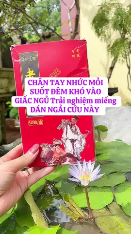 Miếng Dán ngải cứu #miengdanngaicuu #miengdanchanthaidoc #suckhoechomoinguoi #xuhuong #duonghuynhriviu 