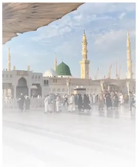 كاسيو الجمال في الرُسل زاد حاها