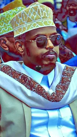 Idinku maalney ragadhalinyada ee saladinta ah ee waxfahmaya#saylac🏞 #awdal_borama 