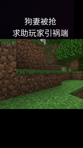 #Minecraft #minecraftmemes 