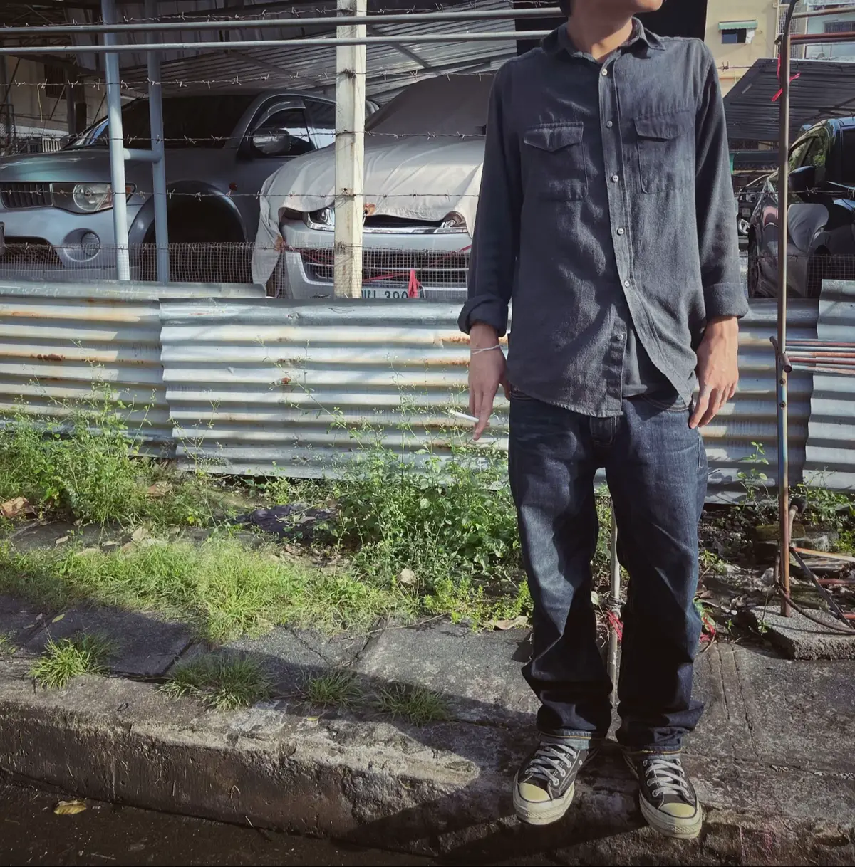 #เธรด #fyp #แมว 