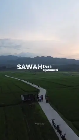 melihat surga tersembunyi di Klapanunggal @muhamadydi20 @B4RDUT%👾  📍sawah desa ligarmukti  #klapanunggal  #jawabarat  #dji  #dronevideo 