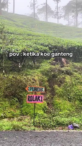 Hanya orang ganteng gaes #fyp #masukberanda #xybca #1gd #fortuner 