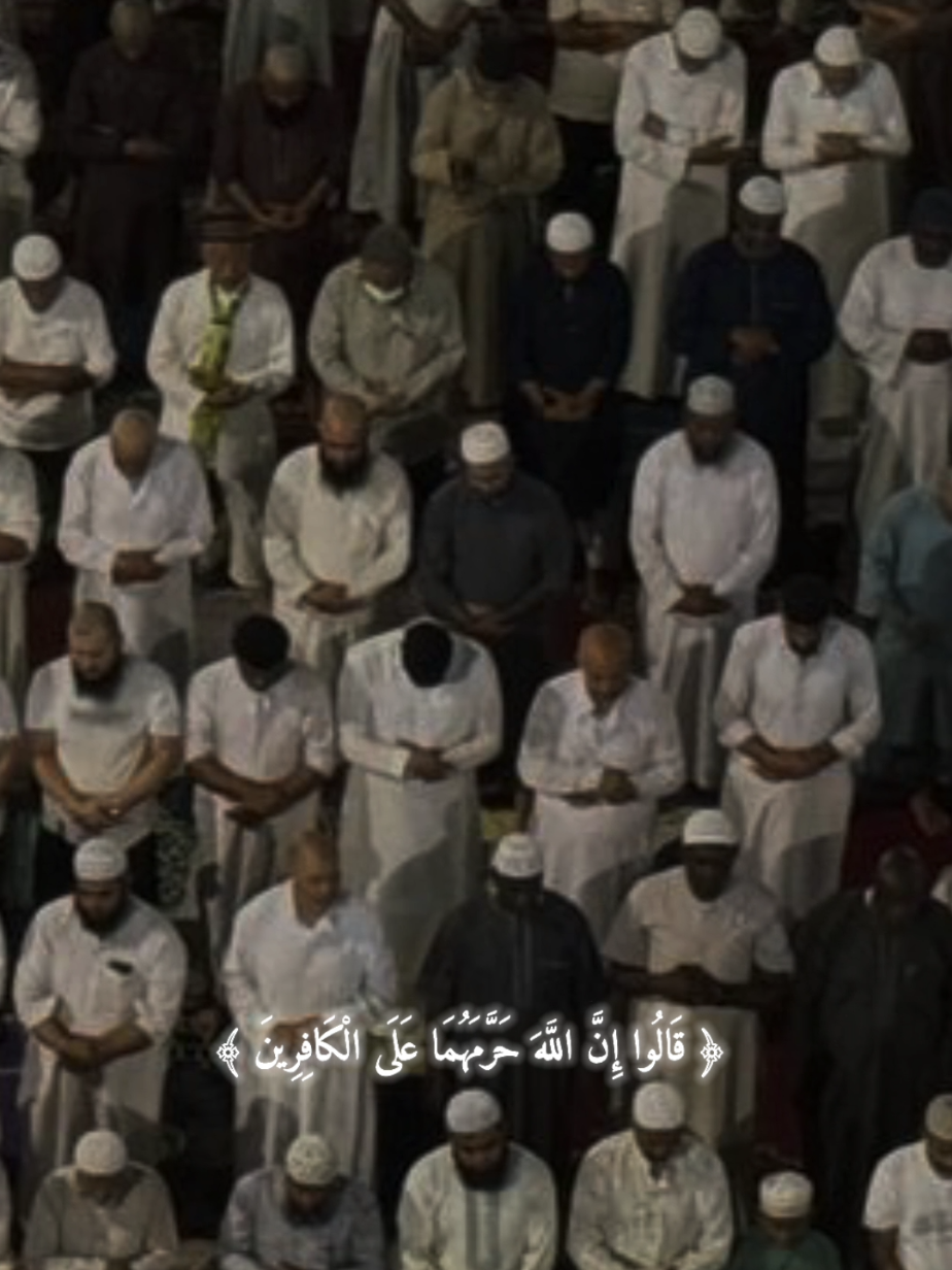 وَنَادَىٰ أَصْحَابُ النَّارِ أَصْحَابَ الْجَنَّةِ #قران_كريم #ارح_سمعك_بالقران #ارح_قلبك_المتعب_قليلاً🤍💫 #قران_كريم_ارح_سمعك_وقلبك♡ #قران 