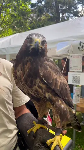 everything is possible 🩺 🐾 #fyp #vetstudent #slovakia #animal 