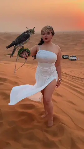 Habibi come to#desertsafariabudhabi #desrtsafaridubai #desert @คิตตี้ 