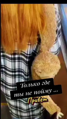 #песня для души