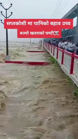 सप्तकोशी मा पानिको बहाव उच्च।। #saptakoshi #flood #nepal #foryoupage #CapCut 