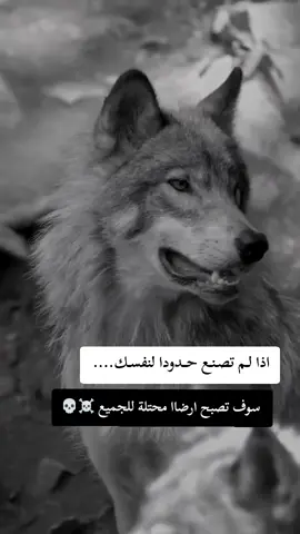 #fyp #F #f #شلفاوة_والحلاوة🔥 #شعب_الصيني_ماله_حل😂😂 