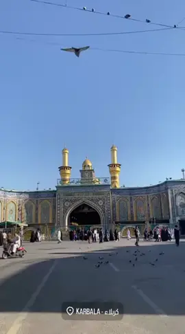 المنظر يجنن🥹#كربلاء #البصرة #زياره #باسم_الكربلائي #الامام_العباس 