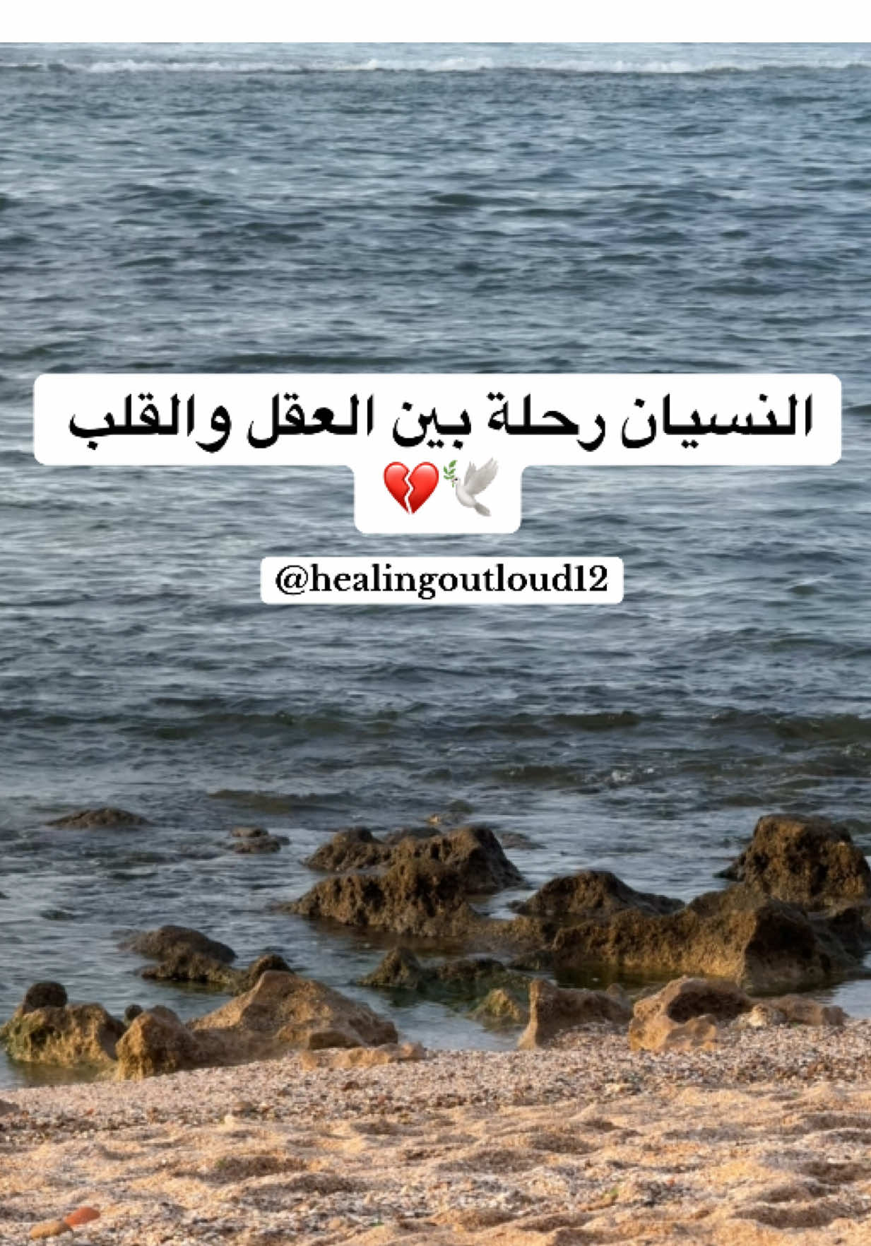 النسيان رحلة بين العقل والقلب 💔🕊️ #explore #fyp #viraltiktok #فوريوالمغرب #اكسبلور 
