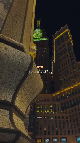 Naat E Sarkar ki parhta hun mai #naat #naatstatus #naatsharif #foryou #growmyaccount 