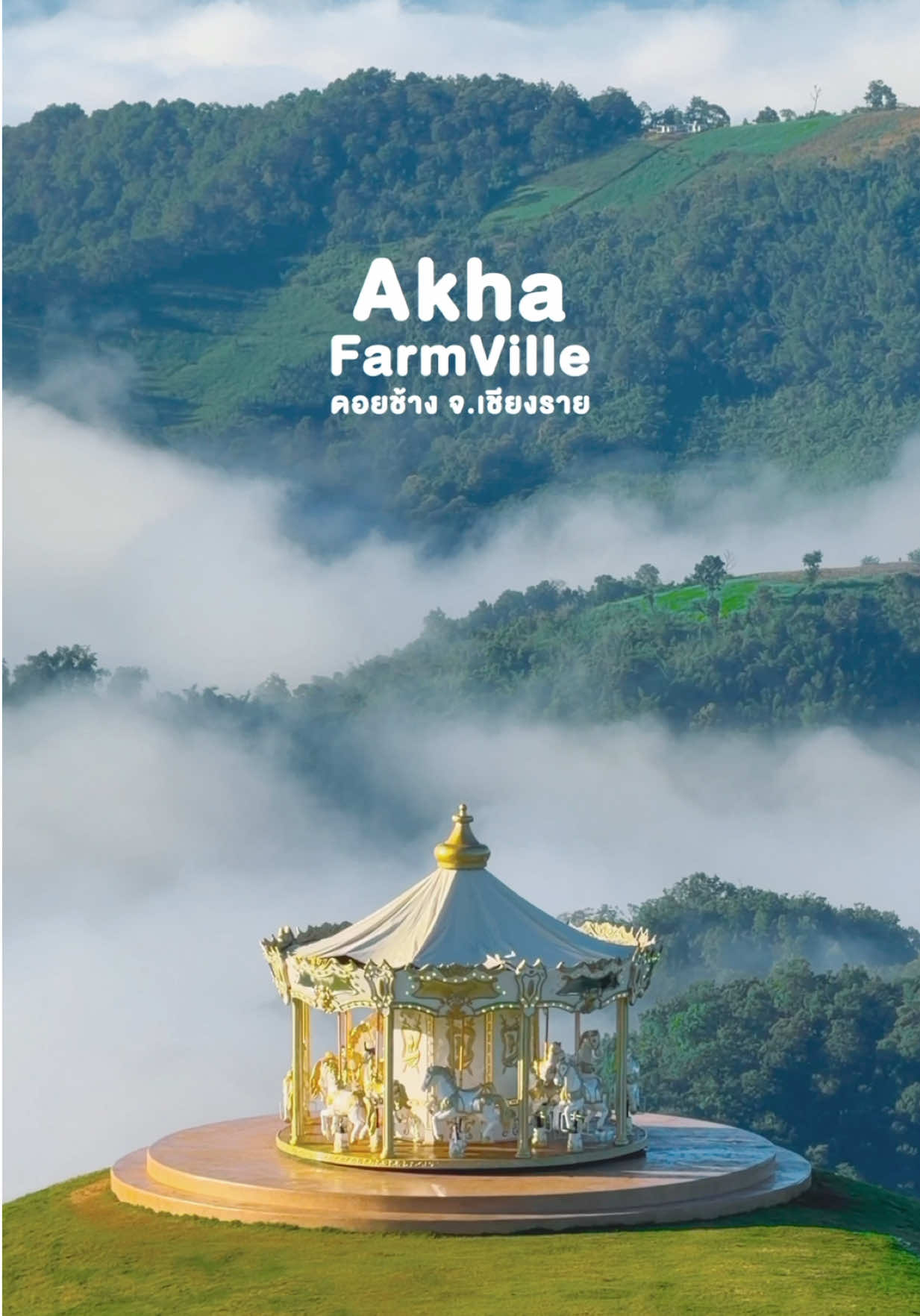 ฟาร์มแกะที่หลุดออกมาจากเทพนิยาย ไม่เกินจริง! 🐑🍃 ที่นี่ Akha FarmVille ดอยช้าง อ.แม่สรวย จ.เชียงราย #เชียงราย #chiangrai #tiktokพาเที่ยว #ดอยช้าง #ฟาร์มแกะ 