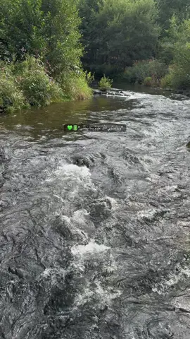 #trending #tiktok #syria #homs 