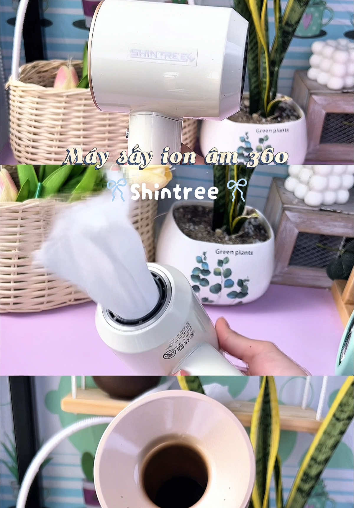 Máy sấy tóc ion âm nhà Shintree 🥰 #xuhuongtiktok #shintree #reviewgiadung #maysaytocionam #maysaytoc 