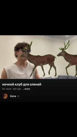 куда этот Конь собрался?🤨#глобальныерекомендации #рек #лето #школа 