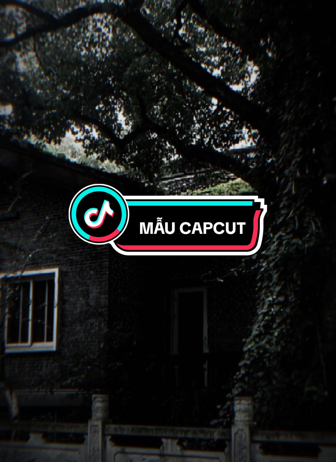 #CapCut Nhạc này cuốn quá nè....#capcut #pioneertemplate #tuanviet_09 #capcutpioneer 