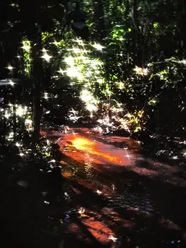 I'm still alive lol. #aesthetic #nature #chilvibes #nostalgic #chill 
