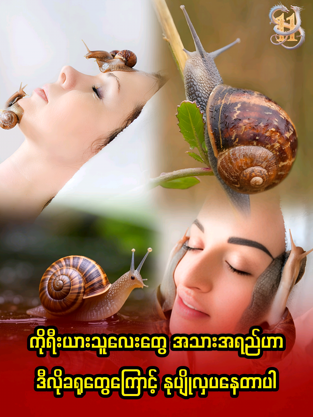 ကိုရီးယားသူလေးတွေ အသားအရည်ဟာ ဒီလိုခရုတွေကြောင့် နုပျိုလှပနေတာပါ #KoreanBeauty #JapaneseBeauty  #HealthySkin #SnailSkincare  #ခရုကုသမှု  