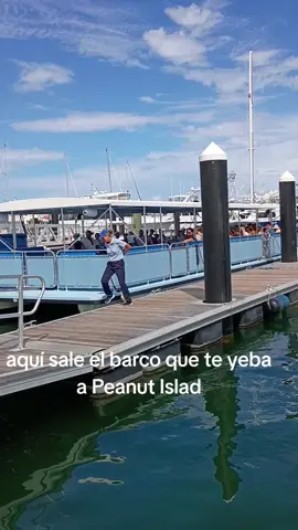 aquí sale el barco que te yeba para la isla,la isla se llama Peanut Islad #Islan #cayak #barcos #canoa #playa 