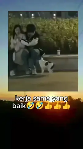 kerjasama yg baik😅😅 #HaryaniArsy #sucinurarsy #Alifhafizakbar #Arsy #fypviraltiktok🖤シ゚☆♡ 