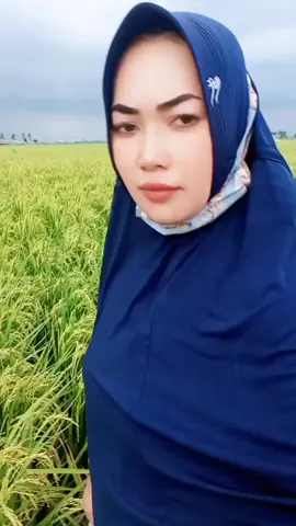 #fypシ゚ #jagaburung#fy 