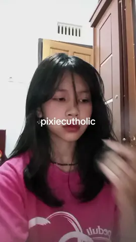 tapi pen rambut panjang juga😔#holic #pixiecut #fyp 