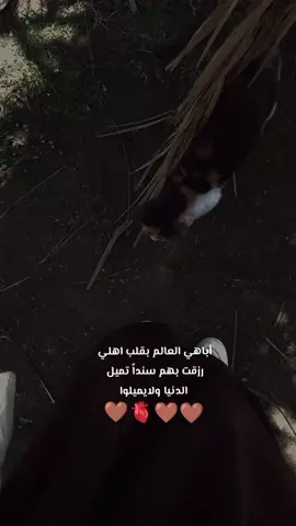 #tiktok #N❤️ 🫀